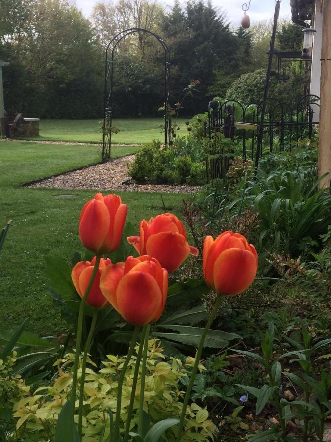 Woodacre B & B Arundel Buitenkant foto